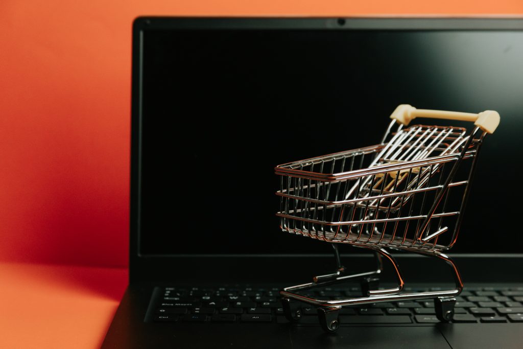 Ecommerce Development